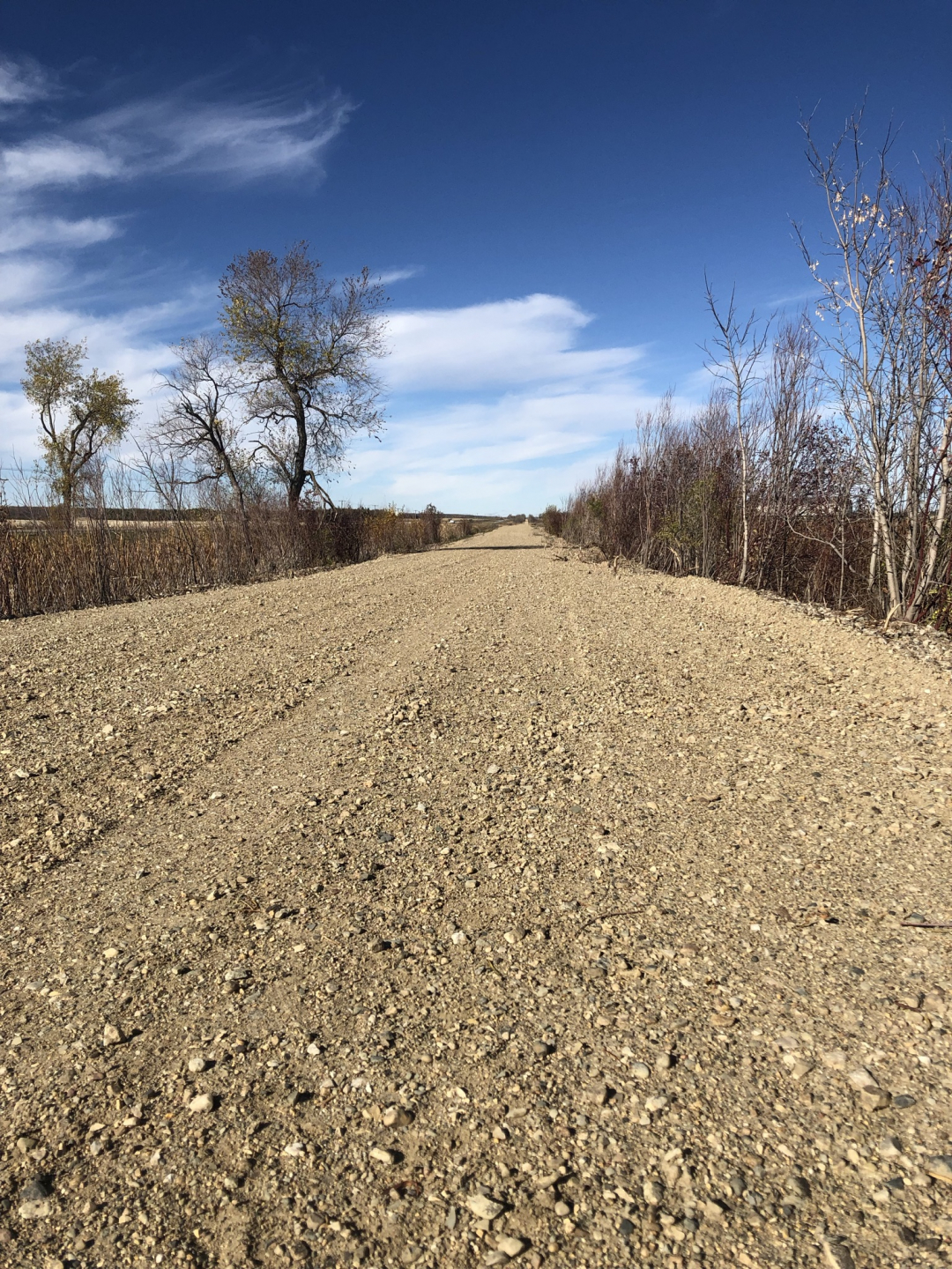The Legacy Path
