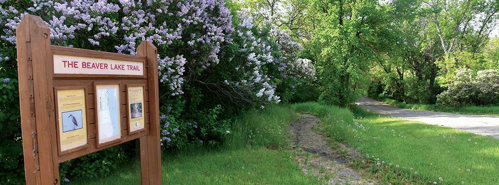 Trailhead signed framed by lilacs next to trail