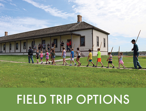 Field Trip Options