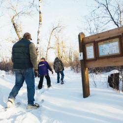 snowshoeing.jpg
