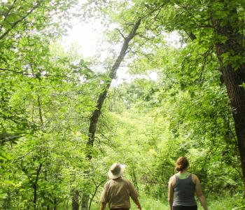 Trail at Fort Ransom