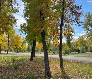 Fall colors at Fort Lincoln campground