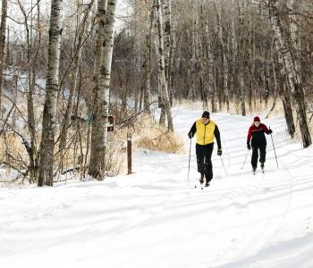 Cross-country skiing