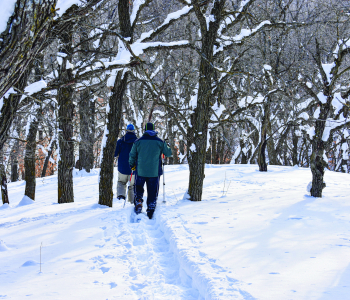 Snowshoeing