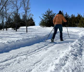 Cross country skier on groomed trail
